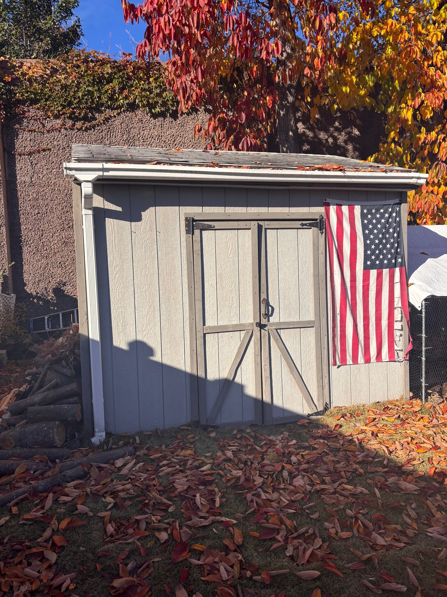 Building Photo - 466 Windsor Dr