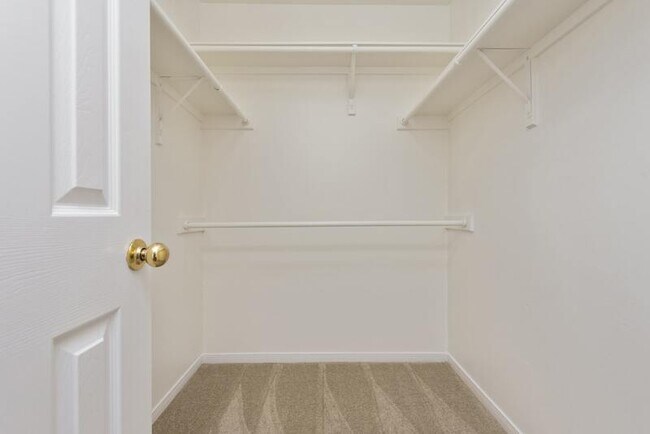 Building Photo - 2117 Saint Lucia Calle