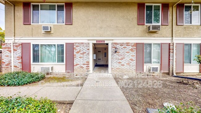 Building Photo - 300 Stony Point Rd
