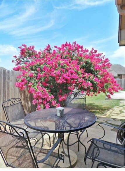 Building Photo - 2711 Silver Oak Dr