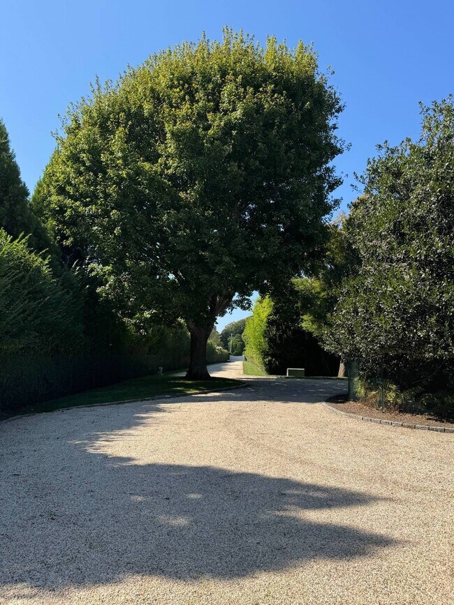 Building Photo - 480 Captains Neck Ln