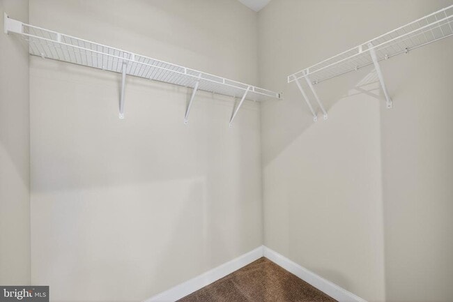 Building Photo - 21630 Hawksbill High Cir