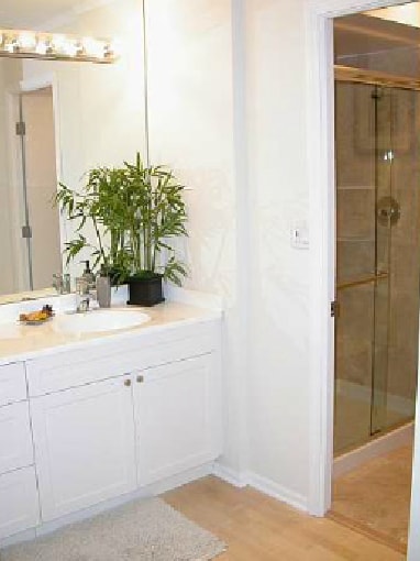 Primary Bath - 6102 N Sheridan Rd