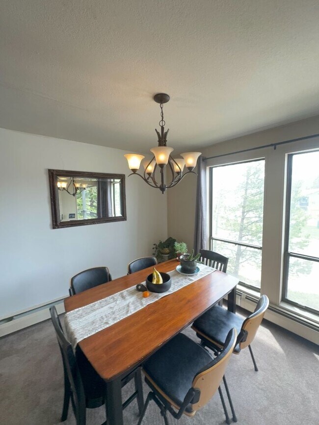 Primary Photo - Lake Cliffe Condo - Spacious 2 Bedroom/2 B...