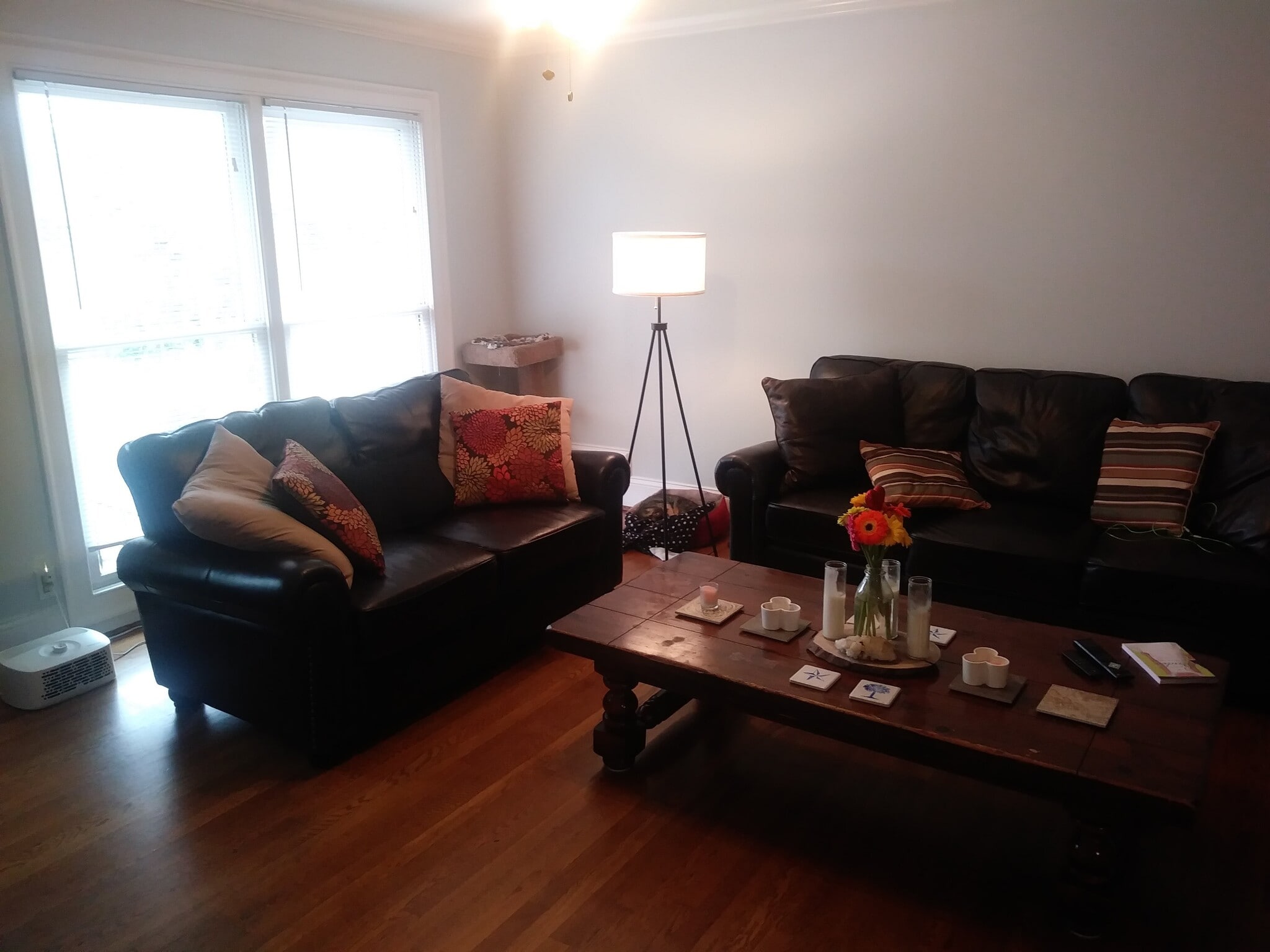 Hardwoods throughout and large windows to bring in natural light - 701 Rosalyn Dr