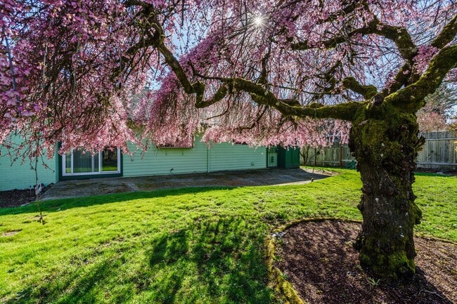 Building Photo - GREAT LOCATION!!! Single Level 3 bedroom 2...