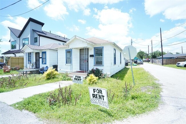 Building Photo - 509 Nimrod St