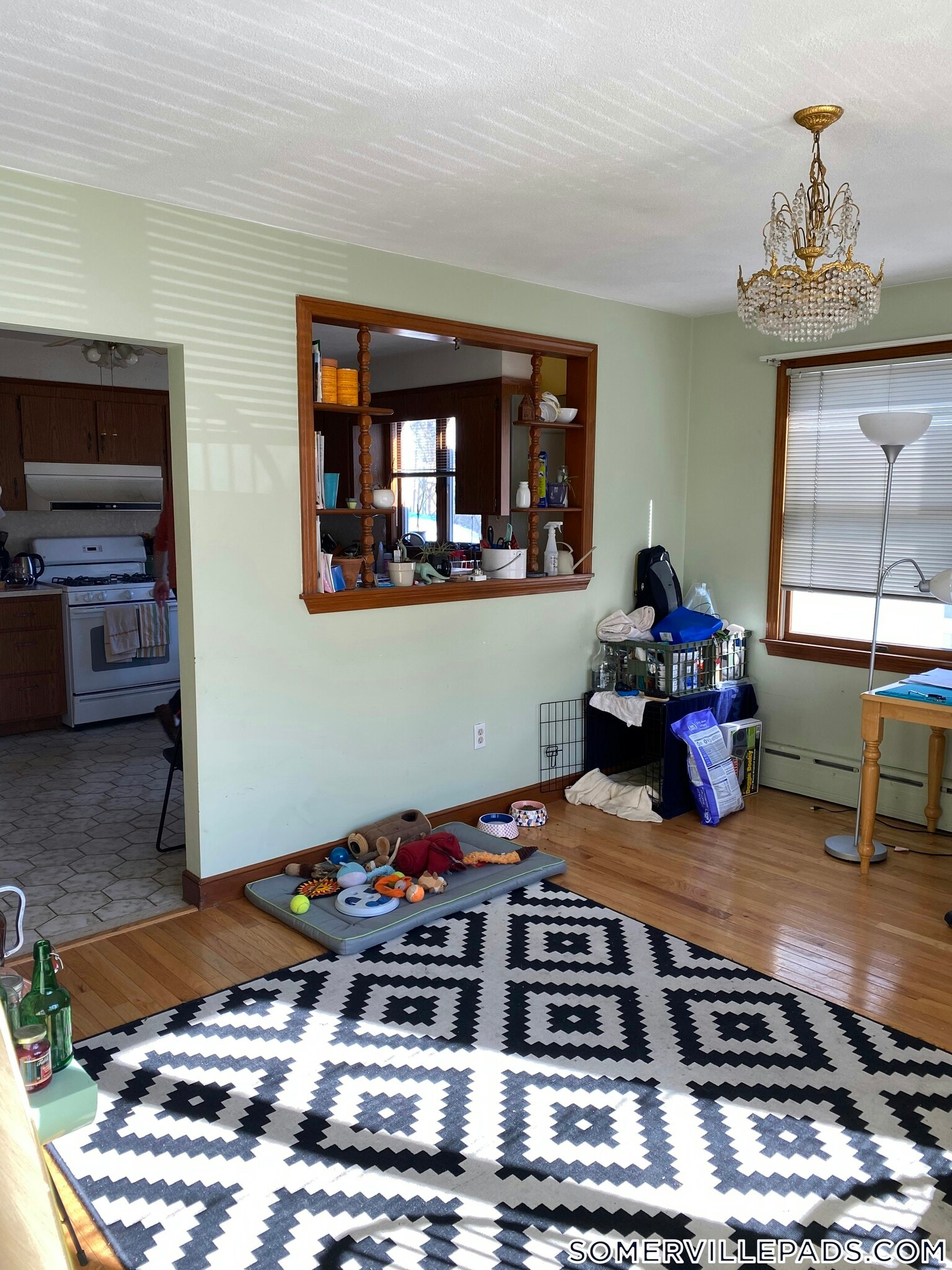 Building Photo - 213R Holland St.