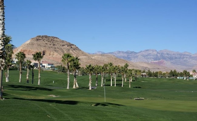 Building Photo - 494 Newberry Springs Dr