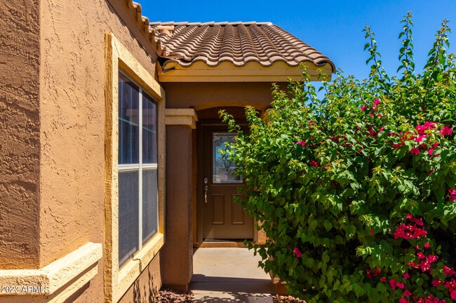 Building Photo - 36532 W Barcelona Ln
