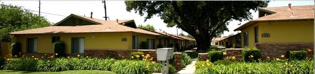 Building Photo - The Palm Apartments