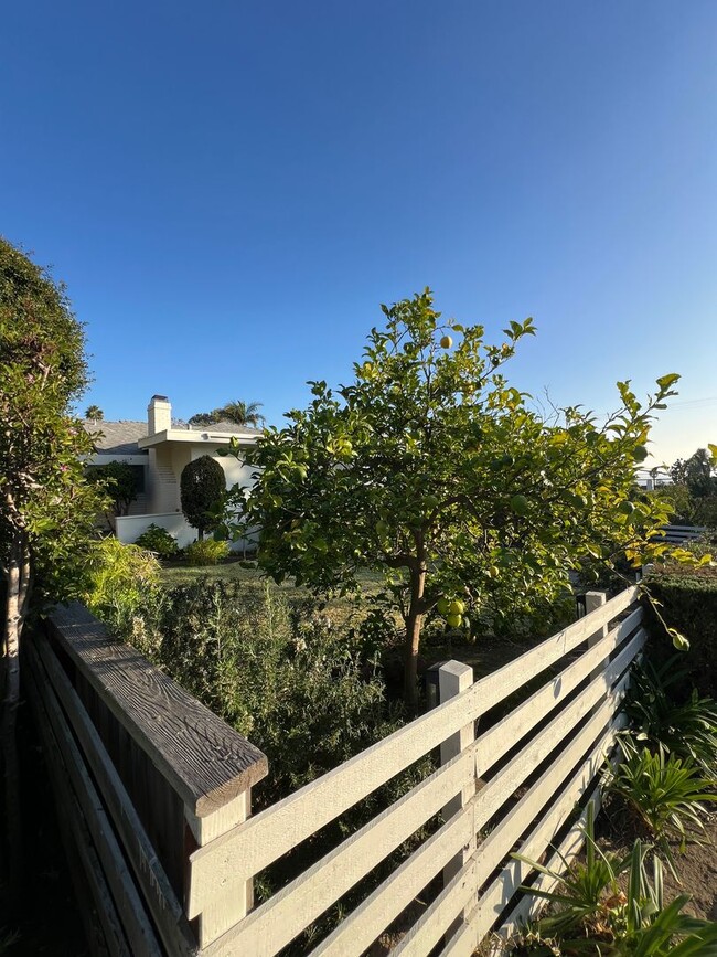 Building Photo - Laguna Beach Cottage Home 2 Bed 1 Bath