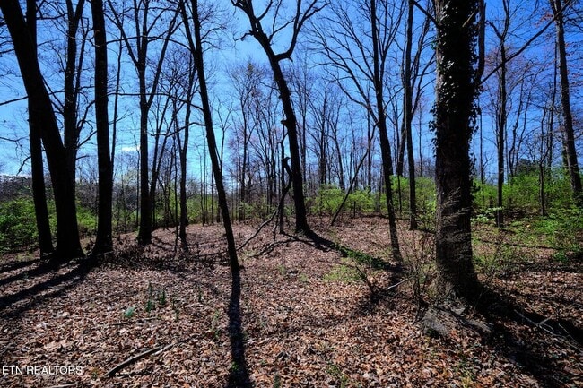 Building Photo - 548 Murray Rd NW