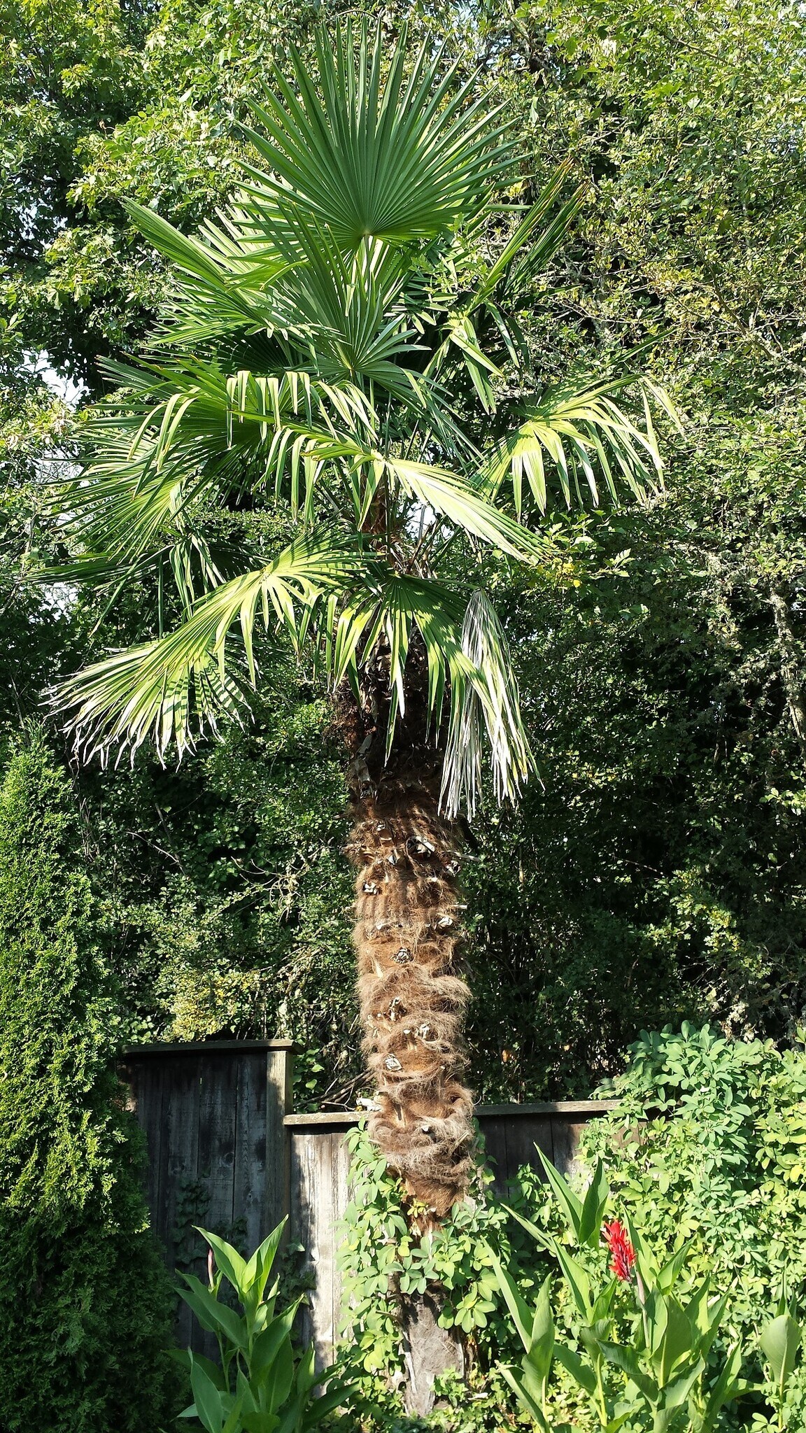 Building Photo - 885 Randall St