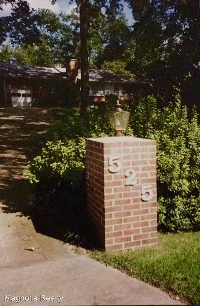 Building Photo - 2 br, 2 bath House - 525 S. College Street