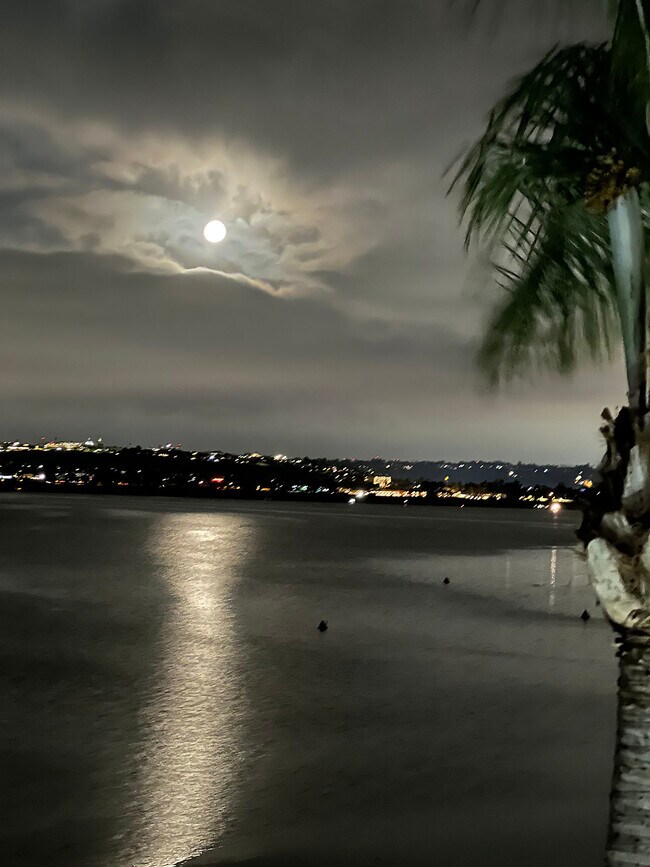 Moonrise & High Tide - 4015 Crown Point Dr