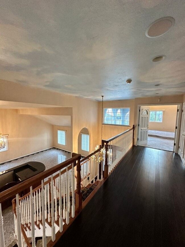 Building Photo - Exquisite Belmont Estate with Luxurious Am...