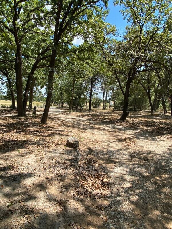 Building Photo - 1259 HCR 1439