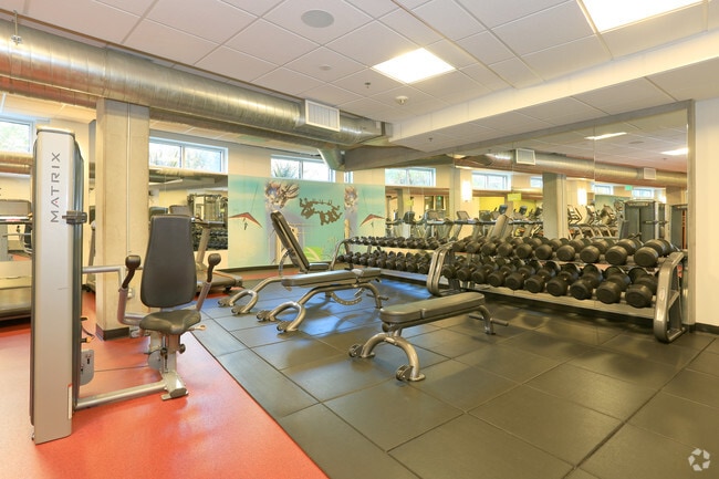 Interior Photo - Rincon Green