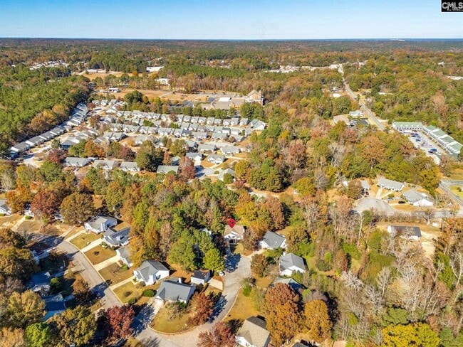 Building Photo - Charming Chapin Ranch in a Cul-de-Sac!