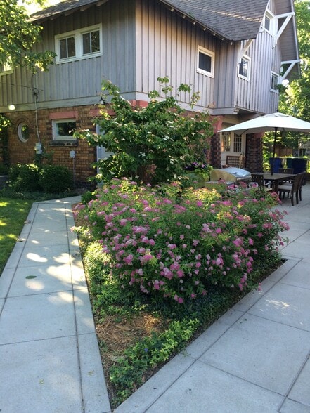 Primary Photo - 243 College Ave SE