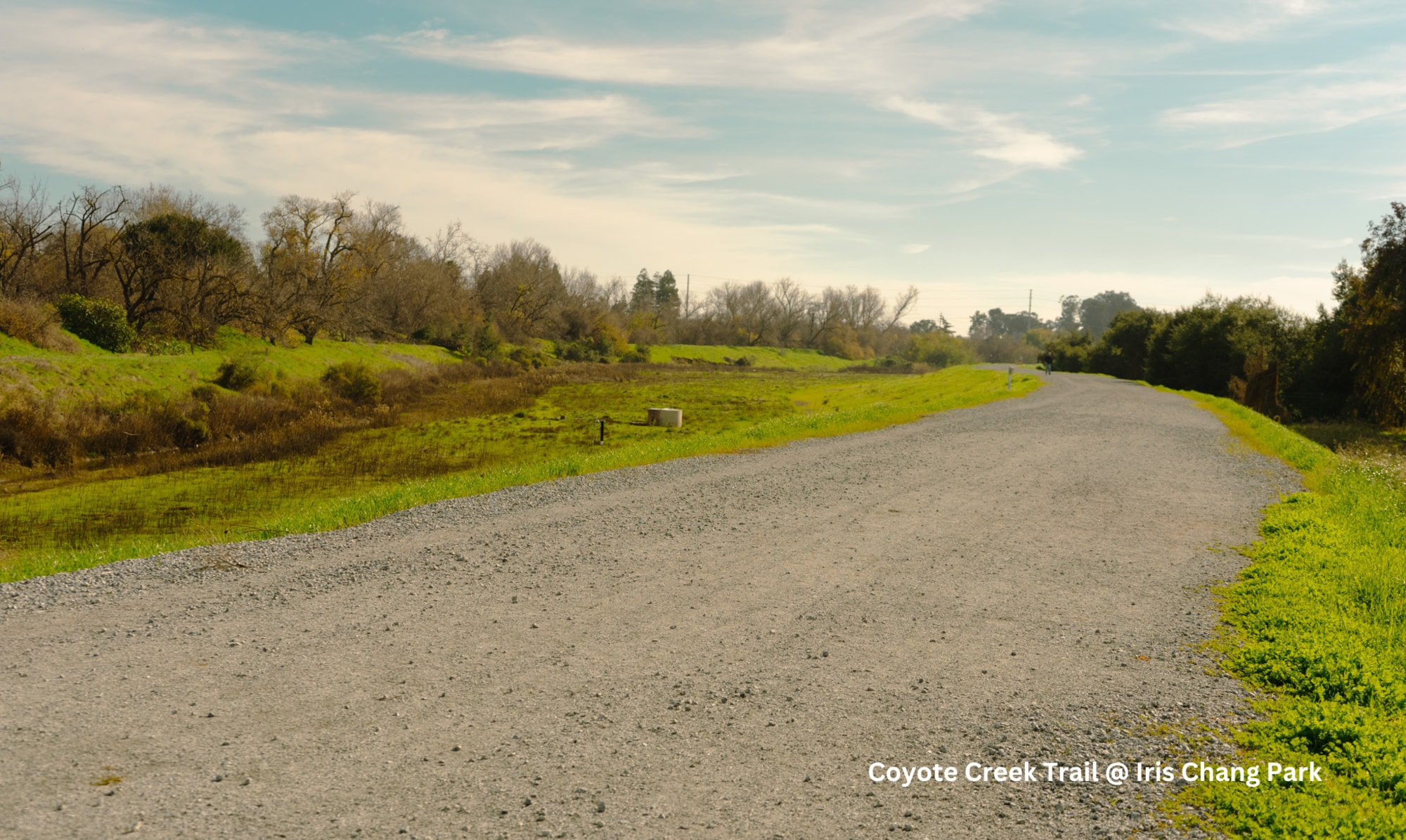 Building Photo - 430 Galleria Dr