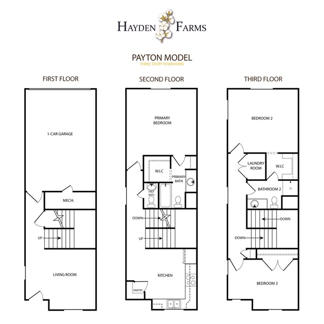 Floorplan - 12570 N Cotton Ln
