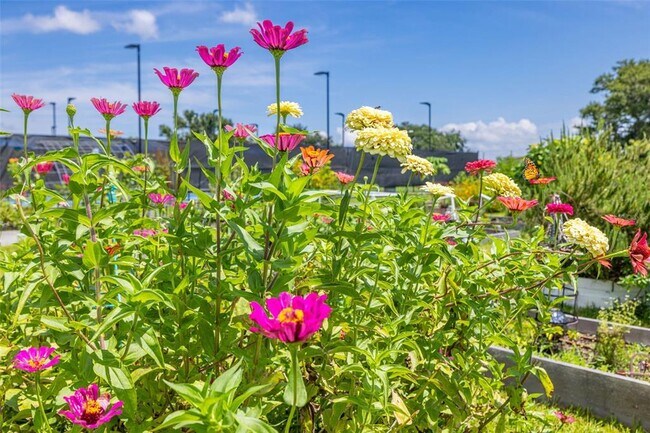 Building Photo - 946 Virginia St