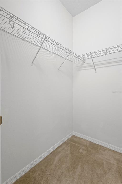 Building Photo - 2156 Bay Clover Dr