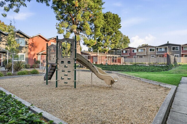Building Photo - Remodeled 2 Story 3 Bed 1.5 Bath Townhome in Mountain View