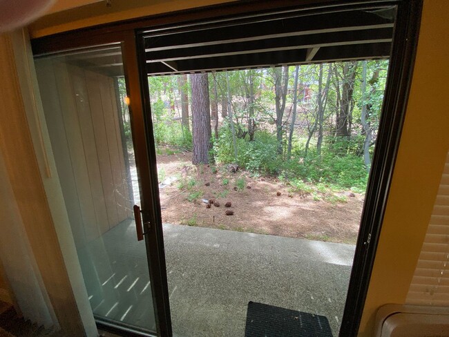 Building Photo - Seasonal Furnished Rental