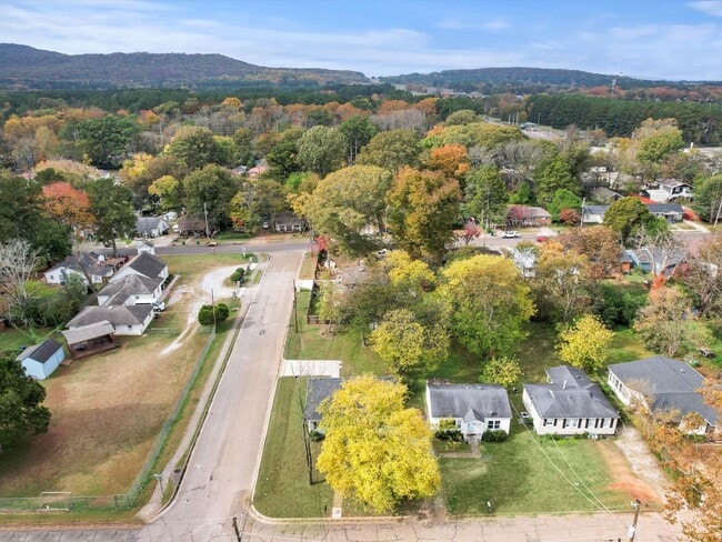 Building Photo - Fully Remodeled Corner-Lot Home Just Minutes from RSA & I-565!