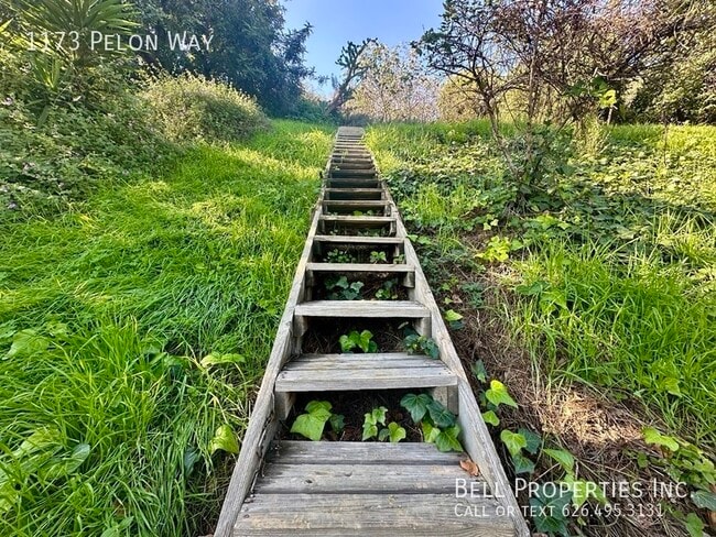 Building Photo - 1173 Pelon Way