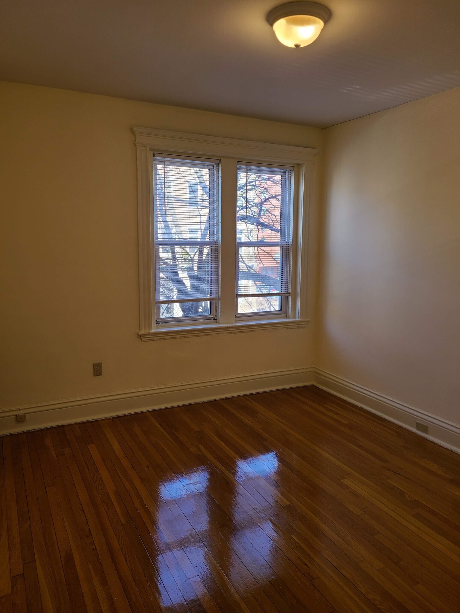 Building Photo - 19 Peterborough St