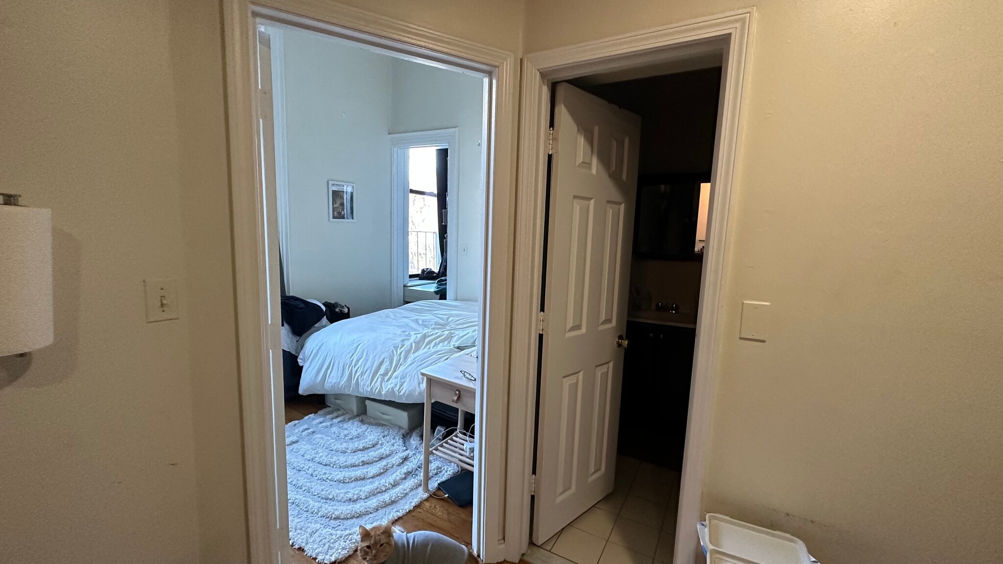 Building Photo - 427 Shawmut Ave