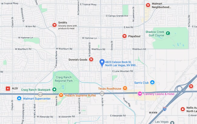 Building Photo - 4823 Celsion Rock St