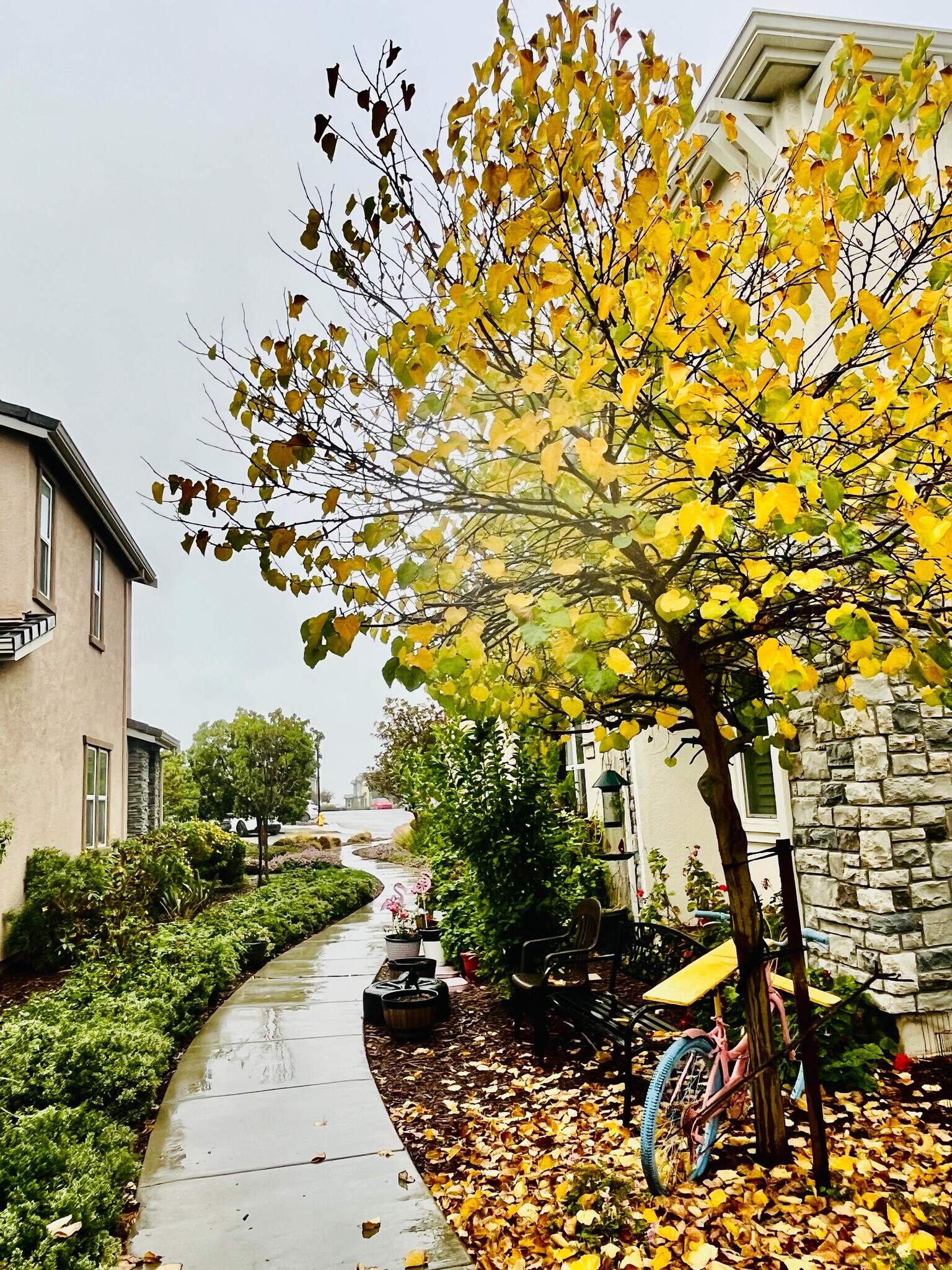 Building Photo - 2617 Alliston Loop