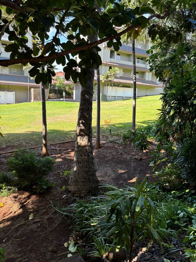 Building Photo - West Maui Breakers (A-Building)