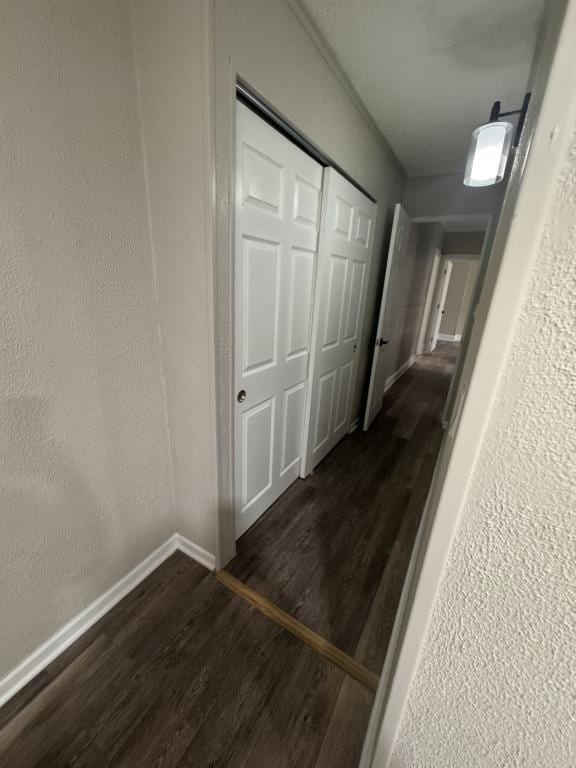 Building Photo - 6 Webb St