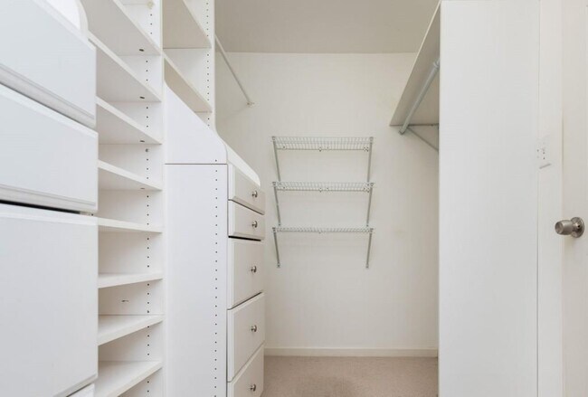 Building Photo - 1231 Wildcliff Cir