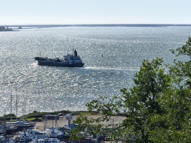 Building Photo - Beautiful 3 Bed / 2 Bath House With a Gorgeous View!