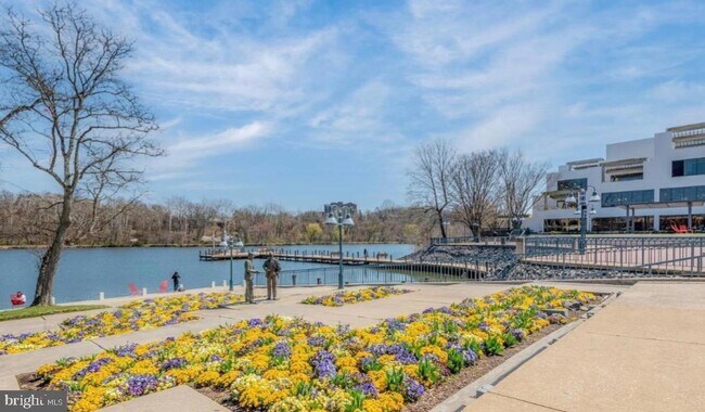 Building Photo - 10205 Wincopin Cir