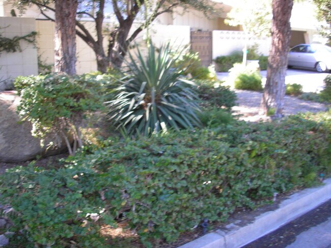 Front garden - 835 N Rose Ave