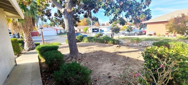 Building Photo - Adorable Single Story home with 3 bedroom and 2 bath