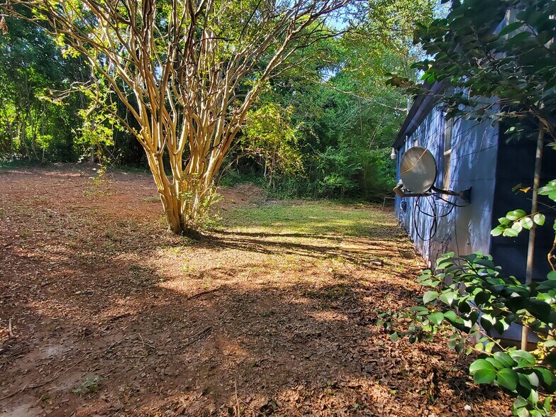 Back Yard - 1205 Tribble St