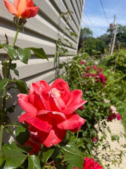 Building Photo - 3860 S Whitnall Ave