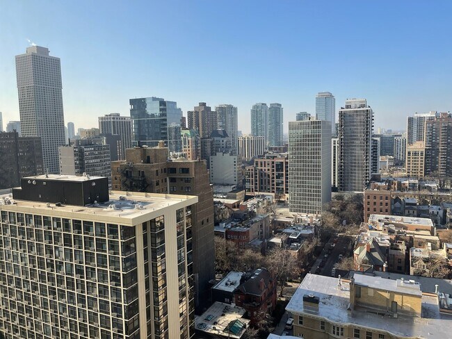 Building Photo - 1240 N Lake Shore Dr