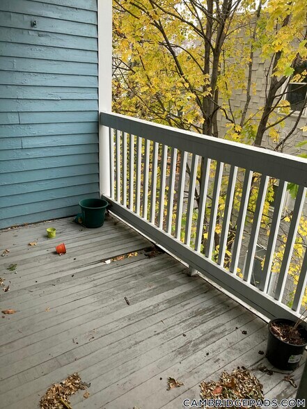 Building Photo - 9 Eustis St