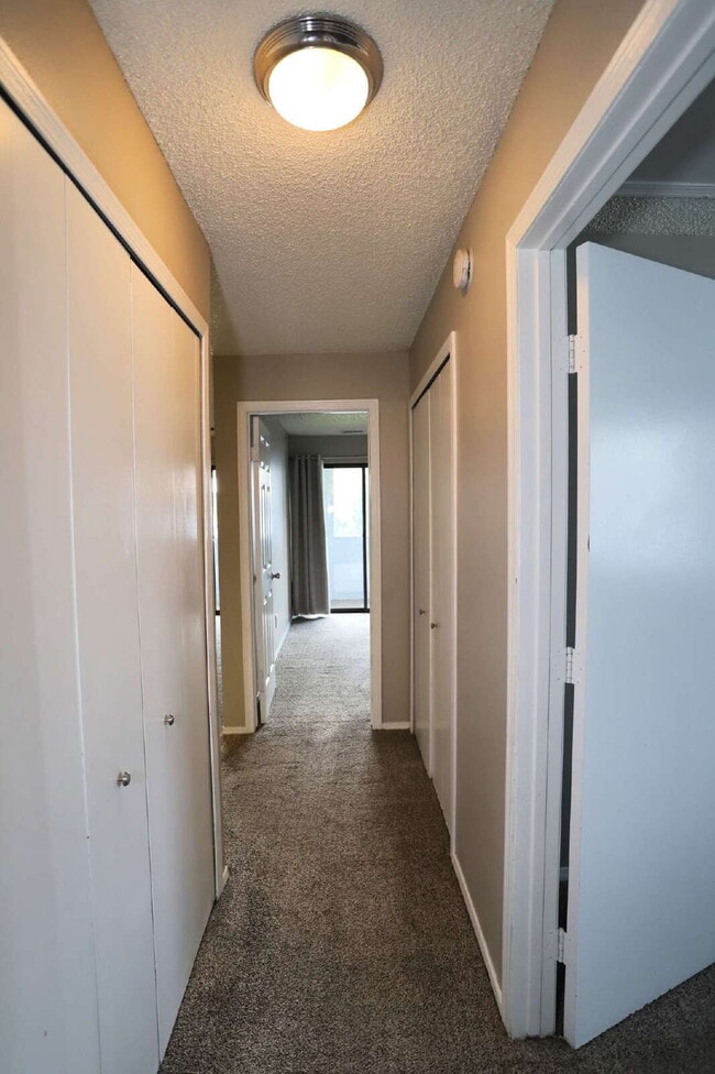 Building Photo - Modern Comfort Meets Style in This Sunlit,...