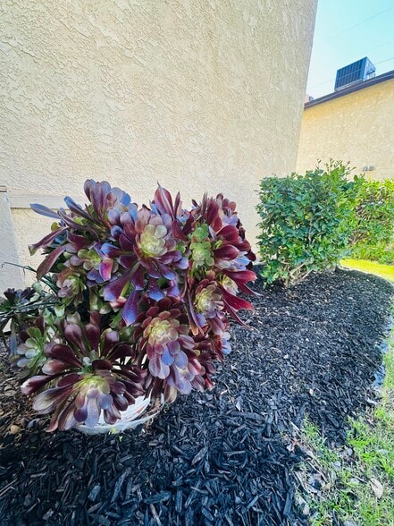 Building Photo - 6005 Hill Dale Ct